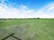 Wide pasture offers ample space for livestock and animals on a sunny day at 4880 Bannon Island Rd, Haines City, FL 33844
