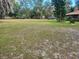 Expansive backyard with lush green grass and mature trees at 4450 Old Berkley Rd, Auburndale, FL 33823