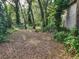 Shows a leaf covered backyard with a wall at 4450 Old Berkley Rd, Auburndale, FL 33823