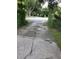 Long driveway leading to the street, lined with trees and some overgrown vegetation at 4450 Old Berkley Rd, Auburndale, FL 33823