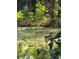 A pond surrounded by trees at 4450 Old Berkley Rd, Auburndale, FL 33823