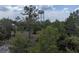 Aerial view of land with mature trees and a water tower in the background at 6168 Arborea Dr, Lake Wales, FL 33898