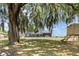 Expansive backyard featuring mature trees, a custom treehouse, and water views at 1396 Lucerne Loop Ne Rd, Winter Haven, FL 33881