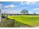 View from the backyard features the adjacent golf course, water feature, and a large shade tree at 5660 Sandpipers Dr, Lakeland, FL 33809