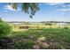 Spacious backyard with lake view and partial shade at 420 W Gates Ave, Lake Hamilton, FL 33851