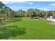 Expansive lawn with a treehouse in the distance at 222 Rod Ln, Davenport, FL 33837