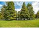 Serene pond view with lush greenery and tall trees at 4104 Martindale Loop, Winter Haven, FL 33884