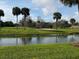 Picturesque water view surrounded by palm trees and lush green space at 6001 Country Club Dr, Lake Wales, FL 33898