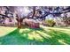 Large backyard with lush grass and a wooden fence at 235 Foggy Creek Rd, Davenport, FL 33837