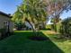 Backyard view with palm trees and hedges at 4076 Tralee Dr, Lake Wales, FL 33859