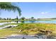 Scenic waterfront view with lush vegetation at 1143 Waterview Pt, Lakeland, FL 33801
