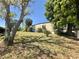Lush backyard with hangar view, mature trees, and green grass under a clear blue sky at 25 Aviation Dr, Winter Haven, FL 33881