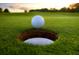 Golf ball on the green, near the hole at 3834 Litchfield Loop, Lake Wales, FL 33859