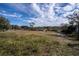 Vacant lot with overgrown grass and surrounding trees at 517 Cipres Cir, Winter Haven, FL 33880