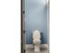 Small bathroom with light blue walls and white toilet at 780 Waterfern Trail Dr, Auburndale, FL 33823