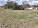 Grassy lot with mature trees, and home in background on a sunny day at 809 Lincoln St, Babson Park, FL 33827