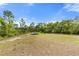Expansive backyard with lush green trees and an above-ground trampoline for recreational activities at 2772 Indian Pipes Trl, Frostproof, FL 33843