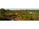 Aerial view of the backyard, showing a trampoline surrounded by trees and a barn at 2772 Indian Pipes Trl, Frostproof, FL 33843