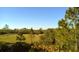 Lovely green pasture showing horses grazing with trees surrounding the property under a bright blue sky at 2772 Indian Pipes Trl, Frostproof, FL 33843