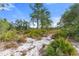 Scenic land with sandy ground, palmetto bushes, and native trees under a sunny sky at 2772 Indian Pipes Trl, Frostproof, FL 33843