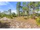 Expansive and scenic vacant land lot with native vegetation, ready for development at 2772 Indian Pipes Trl, Frostproof, FL 33843