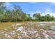 Spacious vacant land showcasing the natural landscape, abundant sunshine, and clear blue sky at 2772 Indian Pipes Trl, Frostproof, FL 33843