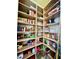 Walk-in pantry with abundant shelving offers ample storage for food items at 1006 W Lake Hamilton Dr, Winter Haven, FL 33881