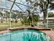 Private pool with screen enclosure and serene views of the backyard landscaping at 1006 W Lake Hamilton Dr, Winter Haven, FL 33881