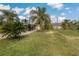 Spacious front yard with mature palm trees and a driveway leading to the house at 208 Limpkin Ln, Frostproof, FL 33843