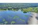 Expansive lakefront property with natural vegetation and calm water at 21113 Kissimmee Shores Rd, Lake Wales, FL 33898
