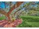 Peaceful backyard with a large oak tree and seating area at 21113 Kissimmee Shores Rd, Lake Wales, FL 33898