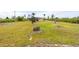 Expansive grassy backyard with tropical landscaping at 2330 Park Ave, Indian Lake Estates, FL 33855