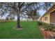 Spacious backyard with grassy area and mature tree providing shade at 2739 Rutledge Ct, Winter Haven, FL 33884