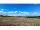 Expansive lot with open field and citrus grove, perfect for building your dream home at 1815 Adams Barn Rd, Lake Alfred, FL 33850