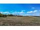 Picturesque view showcasing a large tract of land awaiting development, with trees and wide-open spaces at 1815 Adams Barn Rd, Lake Alfred, FL 33850