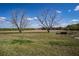 Scenic view of a spacious lot showcasing a field with some trees and a trailer at 1815 Adams Barn Rd, Lake Alfred, FL 33850
