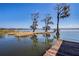 Scenic water view with trees draped in Spanish moss at 3312 Eagles Trce, Winter Haven, FL 33884