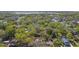 Expansive aerial view of a neighborhood filled with lush, mature trees and foliage at 907 Vistabula St, Lakeland, FL 33801