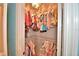 Walk-in closet with ample hanging and storage space at 105 Wyndham Dr, Winter Haven, FL 33884