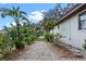 Landscaped side yard with tropical plants and a pea gravel walkway leading to a backyard gate at 128 Lake Ring Dr, Winter Haven, FL 33884