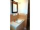 Bathroom featuring a sink with peach-colored tile and a matching vanity at 130 Alvina Ave, Lake Wales, FL 33853