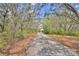Long private driveway leading to a secluded property surrounded by trees at 151 W Hamlin Trl, Frostproof, FL 33843