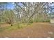 Leafy land view of the lot with many trees at 151 W Hamlin Trl, Frostproof, FL 33843