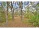 Leafy land view of the lot with a path and many trees at 151 W Hamlin Trl, Frostproof, FL 33843