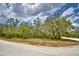This property features a picturesque tree line and natural landscape, with a winding road for access at 151 W Hamlin Trl, Frostproof, FL 33843