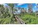 Scenic view of the walkway through lush greenery leading towards the lake at 1904 Eloise Cove Dr, Winter Haven, FL 33884