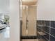 Bathroom featuring a standing shower with sliding glass doors, black tiled walls, and open shelving at 3943 Chambers St, Lake Wales, FL 33898