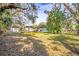Large backyard with mature trees, offering ample space for outdoor activities at 1325 4Th Ne St, Winter Haven, FL 33881