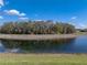 Backyard view of a tranquil pond surrounded by mature trees and clear blue sky at 1336 Oakmont Dr, Winter Haven, FL 33884