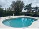 Inviting community pool area surrounded by lounge chairs and lush greenery at 2723 Rutledge Ct, Winter Haven, FL 33884